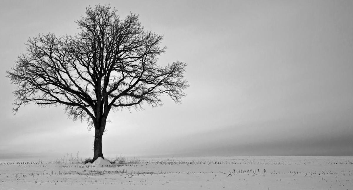 Get Your Annual Insurance Review